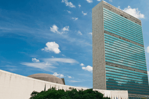 Xi Stresses Palestinian Solidarity at UN Event 🌍✊
