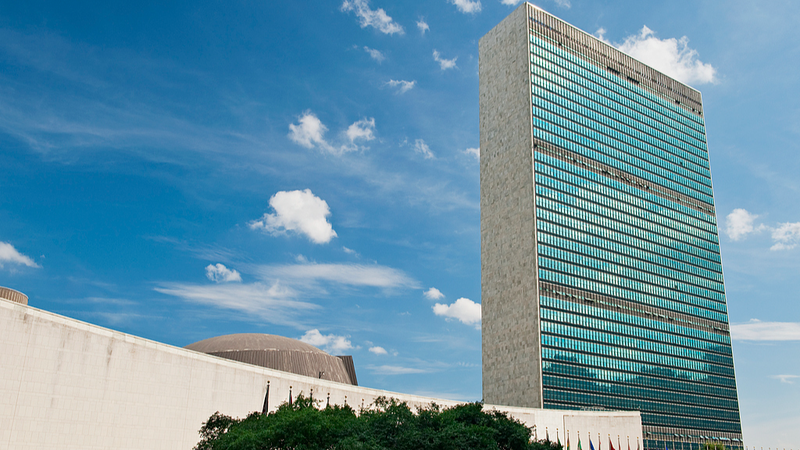 Xi Stresses Palestinian Solidarity at UN Event 🌍✊