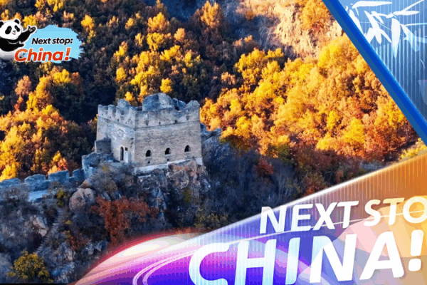 Autumn Majesty: Great Wall’s Banchaoyu Section Stuns from Above 🍂🏯 video poster