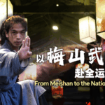From Sickly Child to Martial Arts Master: The Power of Meishan Wushu 🌟🗡️ video poster