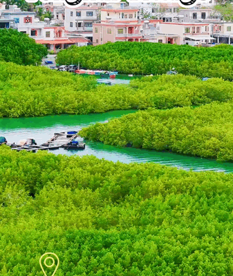 Escape to Slow Living: Tonghai Village’s Island Vibes 🌴🚲 video poster