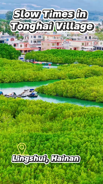 Escape to Slow Living: Tonghai Village’s Island Vibes 🌴🚲 video poster