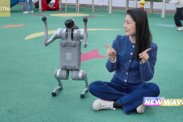 AI Companions Go Mainstream: From Plush Bots to Holograms 🌟🤖 video poster