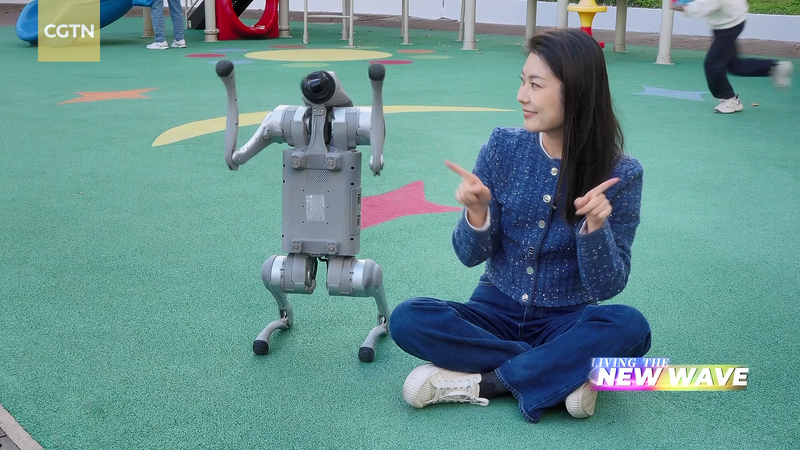 8LXJM4S2WV3UADLBC3W3 - 🌍NewspaperAmigo – Your Global News Buddy 🗞️ AI Companions Go Mainstream: From Plush Bots to Holograms 🌟🤖 video poster