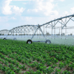 8R30RROO5NIGHVQZXBNP - 🌍NewspaperAmigo – Your Global News Buddy 🗞️ China’s Blueprint for Water Tech: Saving Every Drop 💧🌍