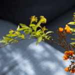 Discovering China's Art of Noticing: A Slow Journey 🌸🚲