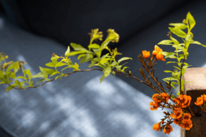 Discovering China's Art of Noticing: A Slow Journey 🌸🚲