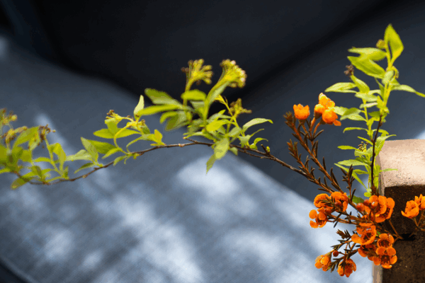 Discovering China's Art of Noticing: A Slow Journey 🌸🚲