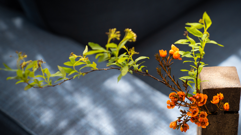 Discovering China's Art of Noticing: A Slow Journey 🌸🚲