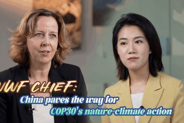 China Leads Nature-Climate Action at COP30, Says WWF Chief 🌱🌍 video poster