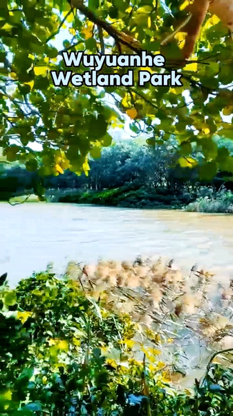 Haikou’s Hidden Gem: Wuyuanhe Wetland Park 🌿🦢 video poster