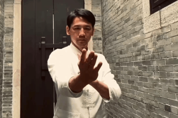 Unlocking the Secrets of Wing Chun: A Martial Arts Legacy 🥋✨ video poster