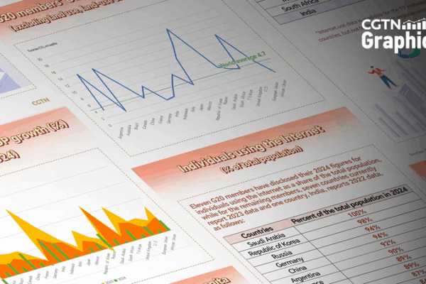 G20 2025: Charting a Sustainable Future 🌱📊