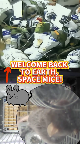 AGI5TFNYHKJD0K3I8KGG - 🌍NewspaperAmigo – Your Global News Buddy 🗞️ Tiny Space Heroes Return! 🐭🚀 video poster