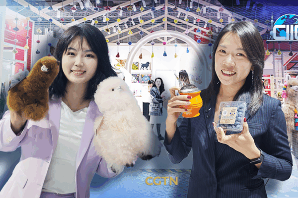 Savor South America: CIIE’s Global Food Fest Takes Taste Buds on a Tour 🌎🍴 video poster