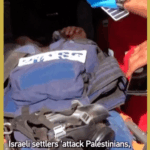 Violence Mars West Bank Olive Harvest as Settlers Attack Palestinians 🌍🕊️ video poster