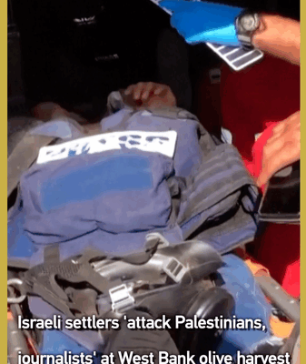 Violence Mars West Bank Olive Harvest as Settlers Attack Palestinians 🌍🕊️ video poster