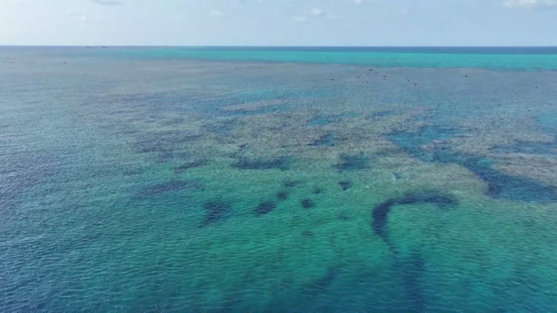 China Releases 2025 Eco Report on Huangyan Dao Waters 🌊