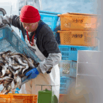 BUHON2020K6GTLLGWCWR - 🌍NewspaperAmigo – Your Global News Buddy 🗞️ Okinawa Fishermen Caught in Crossfire as China-Japan Tensions Rise 🌊🐟 video poster