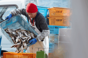 Okinawa Fishermen Caught in Crossfire as China-Japan Tensions Rise 🌊🐟 video poster