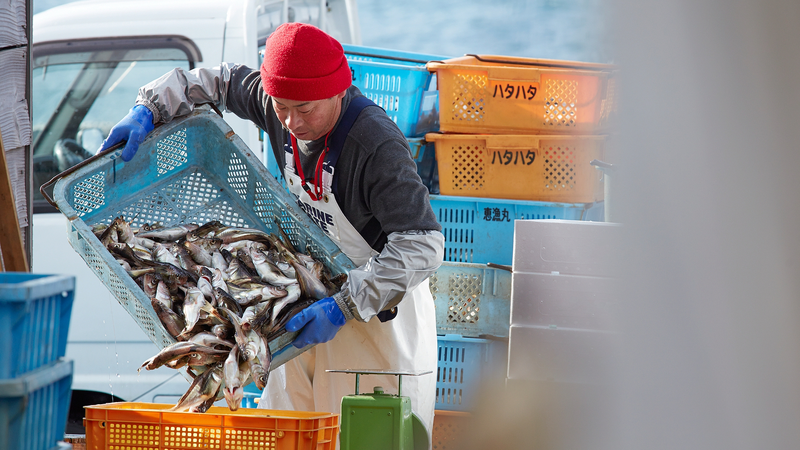 BUHON2020K6GTLLGWCWR - 🌍NewspaperAmigo – Your Global News Buddy 🗞️ Okinawa Fishermen Caught in Crossfire as China-Japan Tensions Rise 🌊🐟 video poster