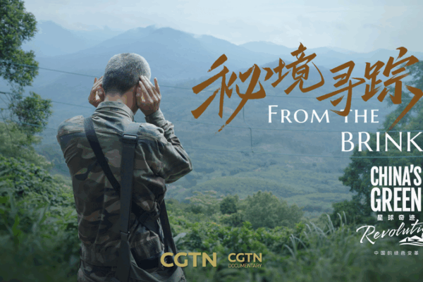 China's Green Revolution: Photographers Amplify Nature's Whispers 🌿📸 video poster