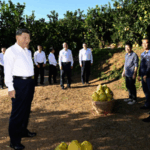 CGTOEEOKMZ5580GP9GDD - 🌍NewspaperAmigo – Your Global News Buddy 🗞️ Xi Explores Meizhou’s Revolutionary Roots & Rural Revival 🌱🇨🇳 video poster