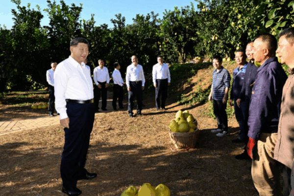 Xi Explores Meizhou’s Revolutionary Roots & Rural Revival 🌱🇨🇳 video poster