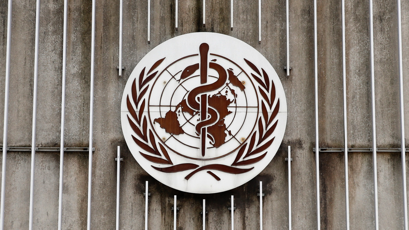 Violence Against Women Persists in Western Pacific, WHO Warns 🌏🚨