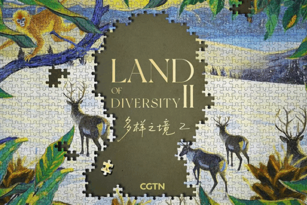 🌿 Land of Diversity II: Humanity’s Dance with Nature 🌍 video poster