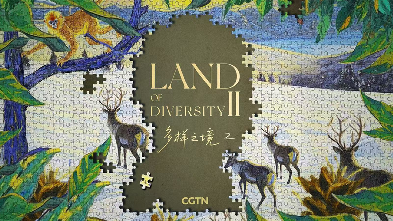🌿 Land of Diversity II: Humanity’s Dance with Nature 🌍 video poster