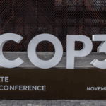 China Urges Global Unity to Save Rainforests 🌳🌍