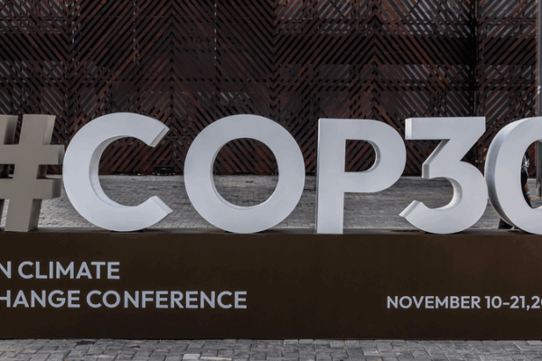 China Urges Global Unity to Save Rainforests 🌳🌍