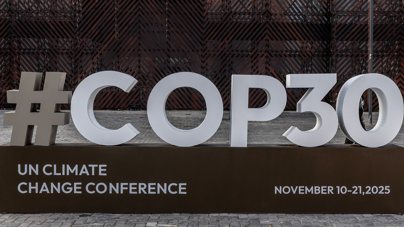 China Urges Global Unity to Save Rainforests 🌳🌍