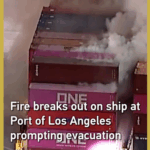 DEP49JRLMCENC870ZDNZ - 🌍NewspaperAmigo – Your Global News Buddy 🗞️ Fire Erupts at Port of LA Ship, Crew Safely Evacuated 🚢🔥 video poster