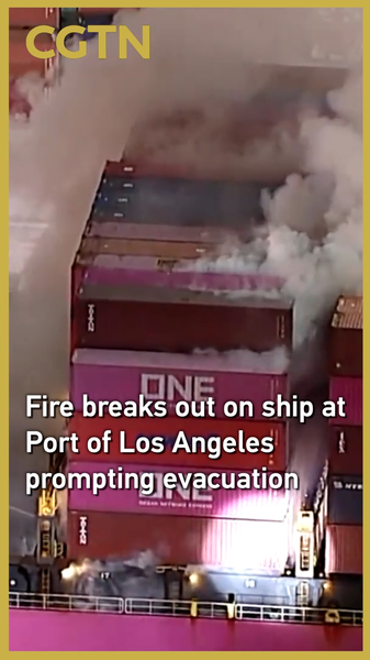 Fire Erupts at Port of LA Ship, Crew Safely Evacuated 🚢🔥 video poster