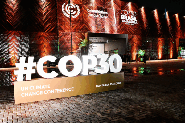 Cities & Biz Lead Climate Fight: UN Report 🌱