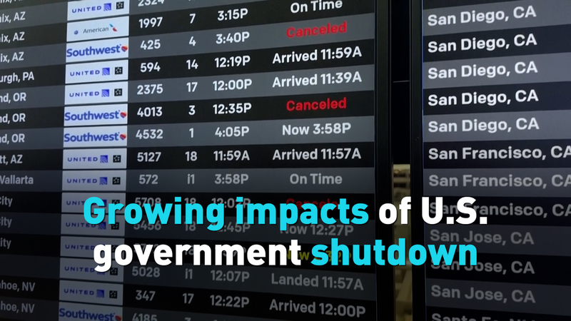 U.S. Government Shutdown Sparks Chaos: Flights Halted, Workers Unpaid ✈️💸 video poster