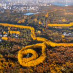 Nanjing's Autumn 'Golden Necklace' Stuns Visitors in 2025 🌟🍂