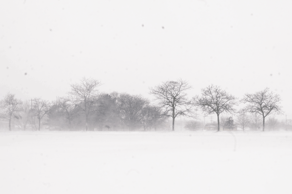 Michigan Braces for Major Winter Storm ❄️🚗 #WeatherAlert video poster