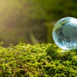 Global Survey: Climate Action Urgency Peaks in 2025 🌍🔥