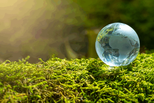 Global Survey: Climate Action Urgency Peaks in 2025 🌍🔥