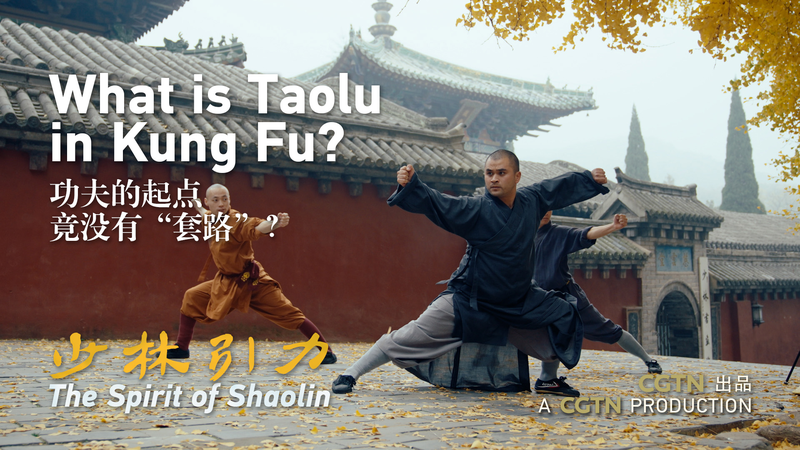 Taolu in Kung Fu: The Art of Imagined Combat 🥋✨ video poster