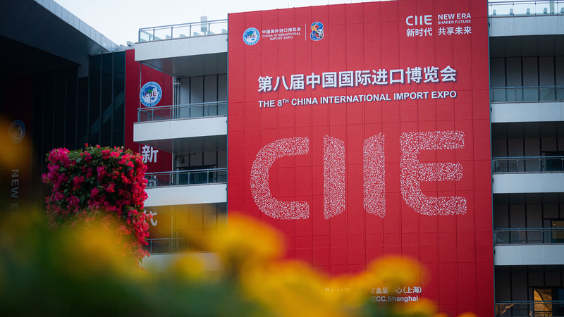 Kyrgyzstan Shines in CIIE Debut: Silk Road Stories & Trade Wins 🌏✨
