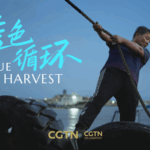 Turning Ocean Plastic into Opportunity: Zhejiang’s ‘Blue Circle’ Initiative 🌊♻️ video poster