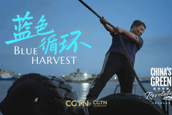 Turning Ocean Plastic into Opportunity: Zhejiang’s ‘Blue Circle’ Initiative 🌊♻️ video poster