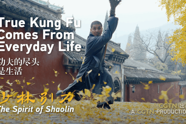 Shaolin Secrets: How Daily Life Shapes Kung Fu Mastery 🌟🥋 video poster