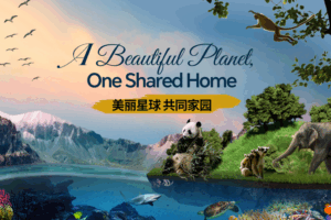 🌍 One Planet, Countless Wonders: Celebrating Earth’s Beauty & Our Shared Future 🌿 video poster