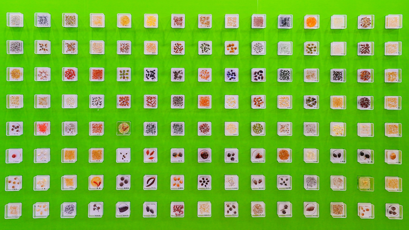 Beijing Leads Global Crop Germplasm Preservation Efforts 🌱🌍