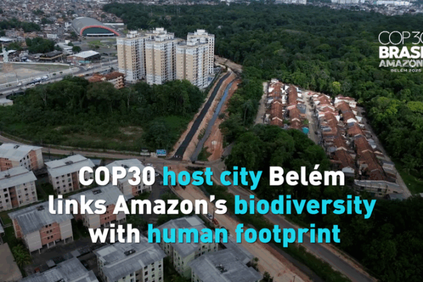 Belém’s COP30 Spotlight: Amazon’s Gateway Faces Climate & Change 🌿✨